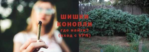 гашик Алексеевка