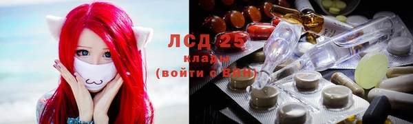 СК Алексин