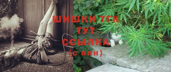 шишки Абинск