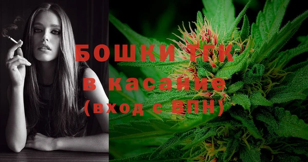 СК Алексин