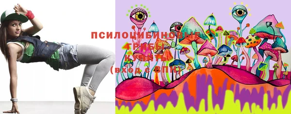 гашик Алексеевка