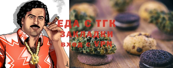 СК Алексин