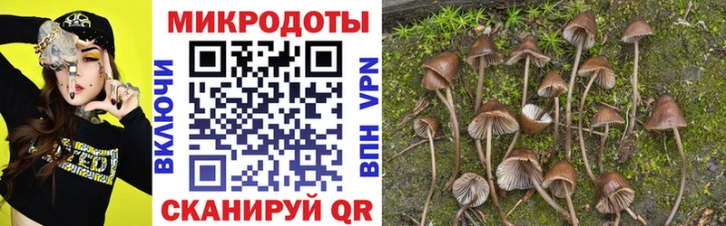 Псилоцибиновые грибы прущие грибы  Электрогорск 